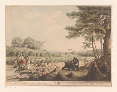 Bear Hunt in India by Henri Merke