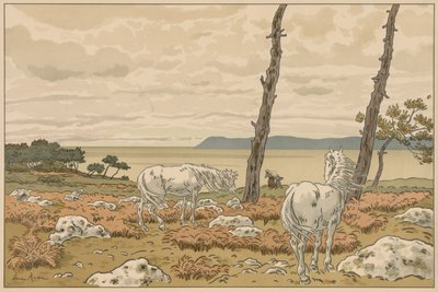 Aspects of Nature: The Bay by Henri Rivière