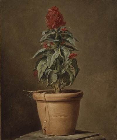 A Potted Plant by Henri Roland de la Porte