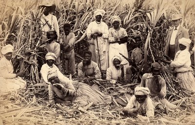 Sugar cane cutters, Jamaica by Henri S. Duperly
