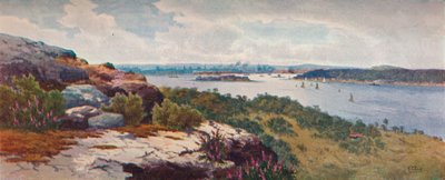 Sydney From Vaucluse by Henri Tebbitt