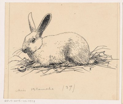 Rabbit by Henri Verstijnen (signed by artist)