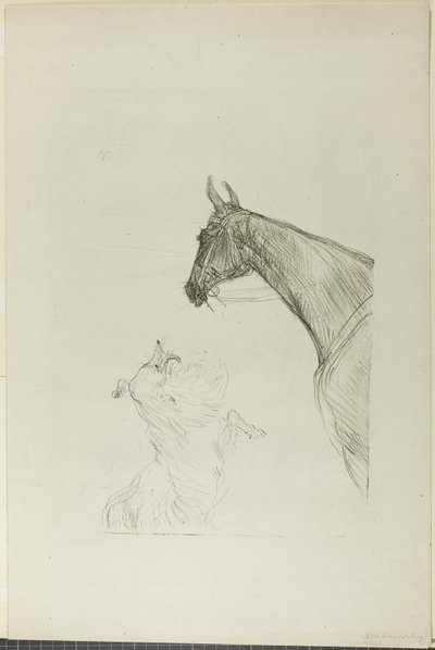 Horse and Collie by Henri de Toulouse Lautrec