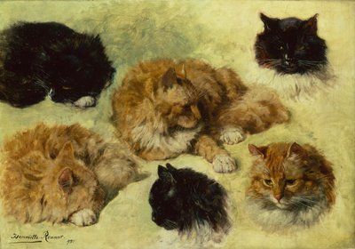 Studies of Cats by Henriëtte Ronner Knip