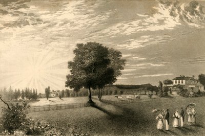 Sennicots by Henry Alexander Ogg