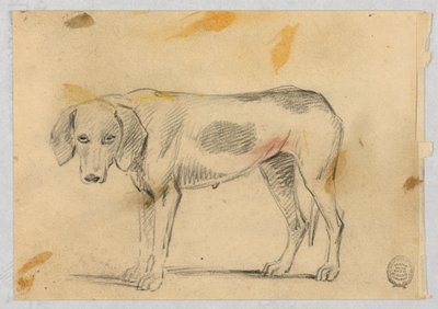 Studies of Two Greyhounds by Henry Bernard Chalon