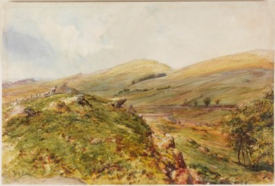 Cockmount Hill by Henry Burdon Richardson