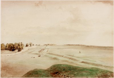 Down Hill, Northumberland by Henry Burdon Richardson