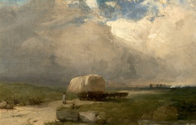 The Carrier