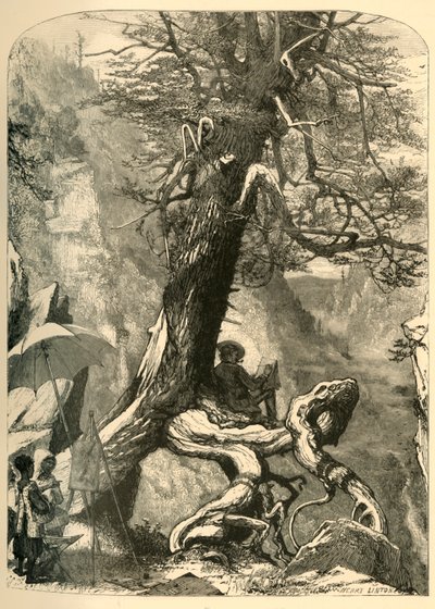 Above the Natural Bridge by Henry Duff Linton