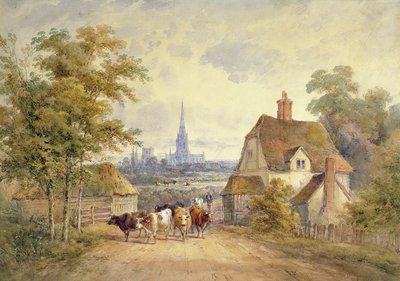 Chichester Cathedral, Sussex by Henry Earp