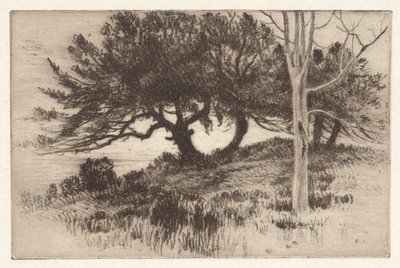 Near the Sea by Henry Farrer