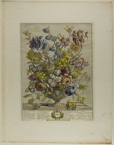 April, from Twelve Months of Flowers by Henry Fletcher
