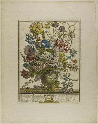 March, from Twelve Months of Flowers by Henry Fletcher