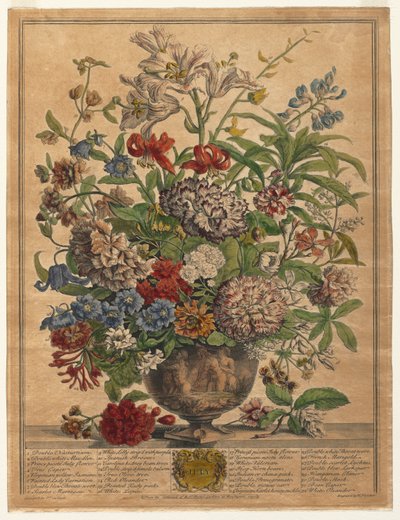 Twelve Months of Flowers: July, 1730 by Henry Fletcher