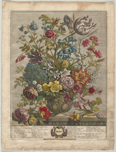 Twelve Months of Flowers: May, 1730 by Henry Fletcher