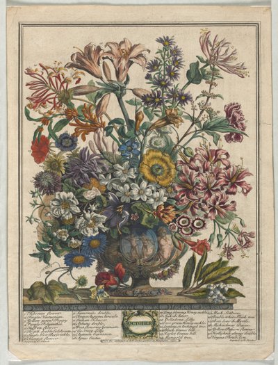 Twelve Months of Flowers: October, 1730 by Henry Fletcher