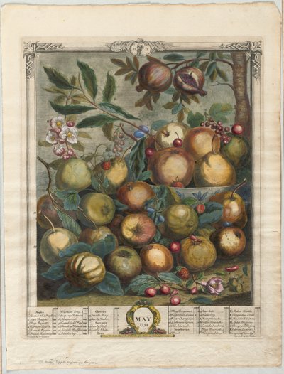 Twelve Months of Fruit: May by Henry Fletcher