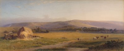 South Downs Pastures by Henry George Hine