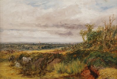 Landscape, 1856 by Henry Harris Lines