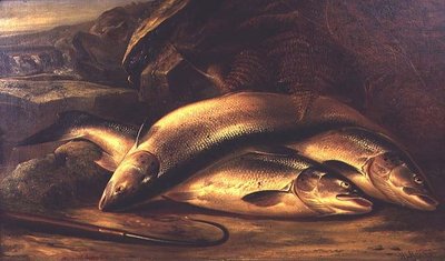 Still Life of Salmon by Henry Leonidas Rolfe