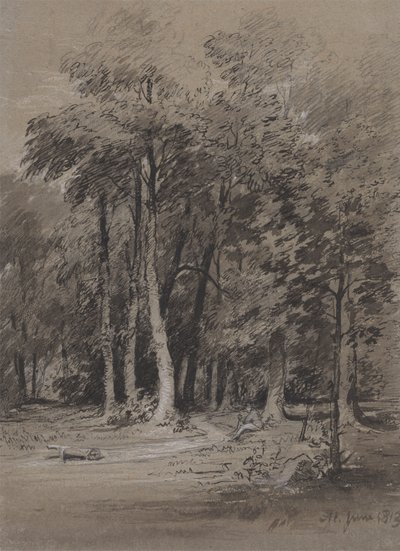 A Wooded Track by Henry Monro