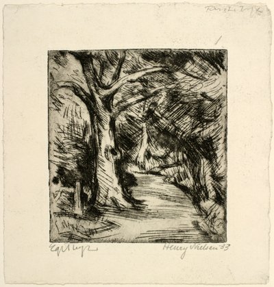 Forest Road. Riis Forest by Henry Nielsen