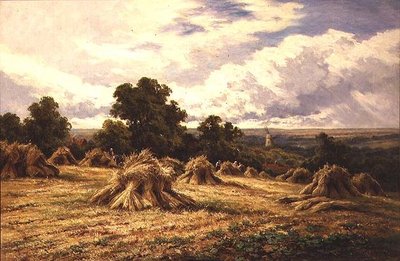 Harvested Field by Henry Parker