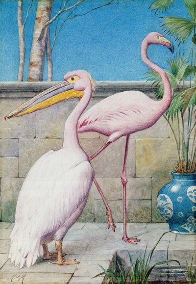 Pelican and Flamingo by Henry Stacey Marks