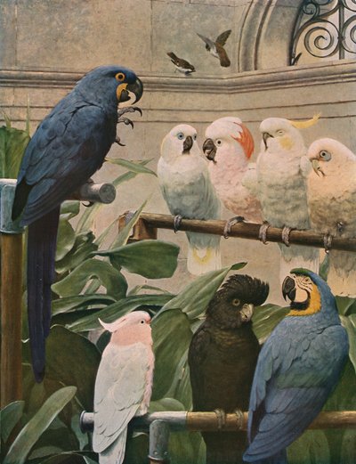 A Select Committee by Henry Stacey Marks
