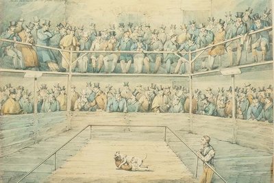 Dog Fight at the Westminster Pitt by Henry Thomas Alken