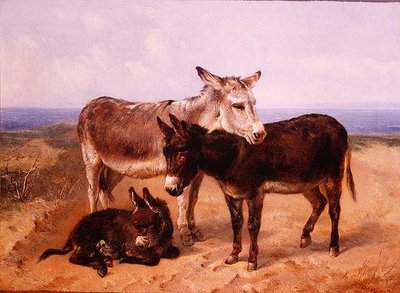 Sand Asses by Henry Weekes