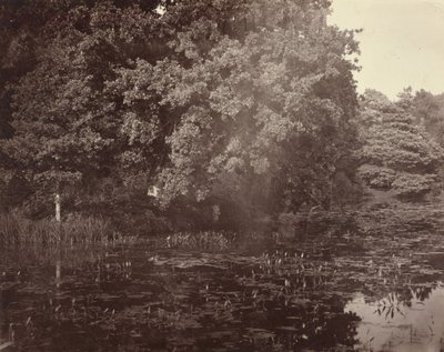 Pond in Park, Surrey by Henry White