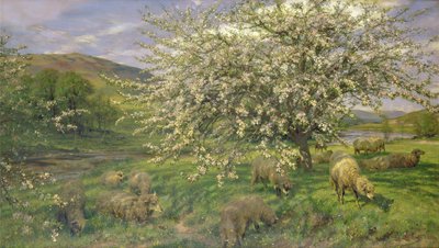 Unknown Image by Henry William Banks Davis