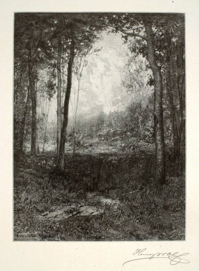 In the Adirondacks by Henry Wolf