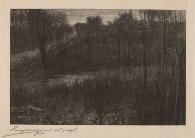 The Evening Star by Henry Wolf