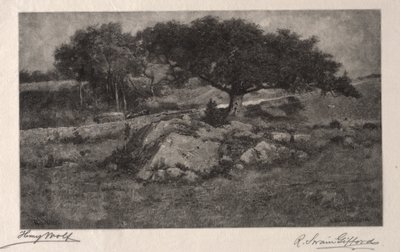 The Roadside by Henry Wolf