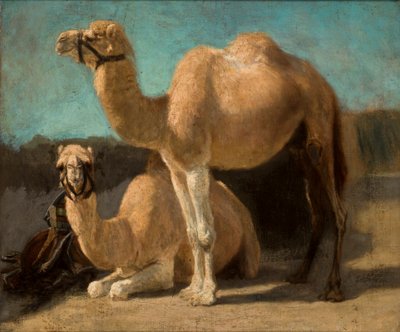 Two Camels by Henryk Hipolit Rodakowski