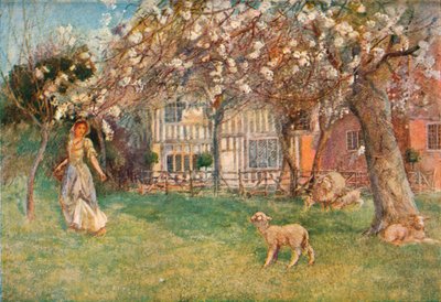 Lambs by Herbert Alexander Collins
