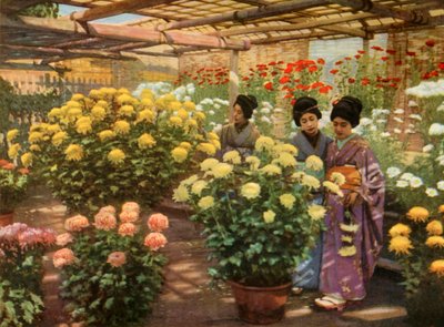 At the Chrysanthemum Show by Herbert Ponting