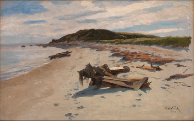 Cape Cod, Beach, 1894 by Herman Hartwich