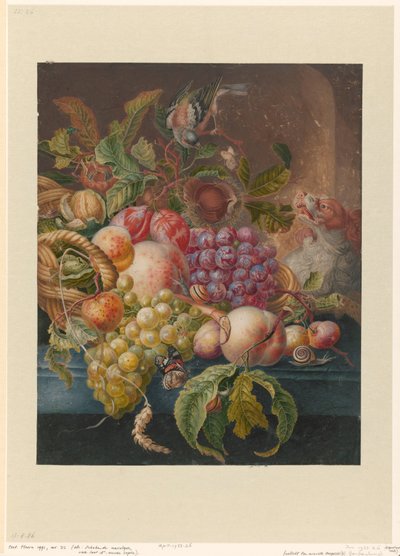 Fruit Still Life by Herman Henstenburgh (possibly)