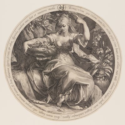 Flora by Herman Jansz. Muller