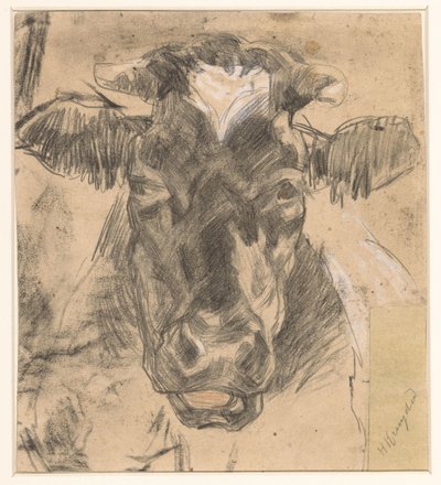 Head of a Cow by Herman Kruyder