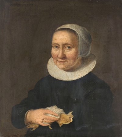 Portrait of a Woman by Herman Meynderts Doncker