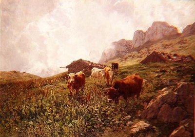 Unknown Image by Hermann Baisch