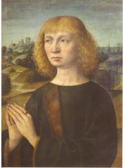 Portrait of a Young Man by Hermen Rode