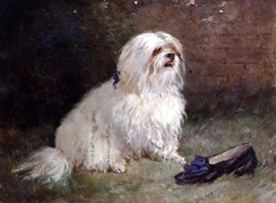 A Maltese Terrier by Heywood Hardy