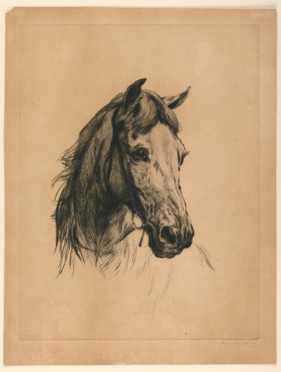 Head of a Horse by Heywood Hardy