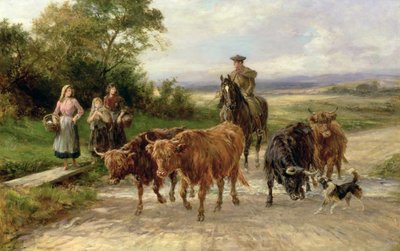 The Handsome Drover by Heywood Hardy